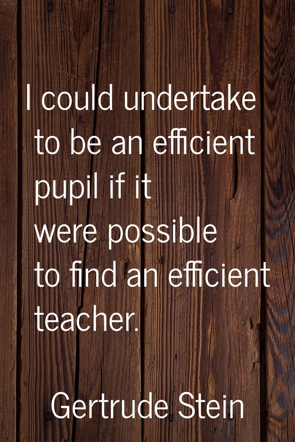I could undertake to be an efficient pupil if it were possible to find an efficient teacher.