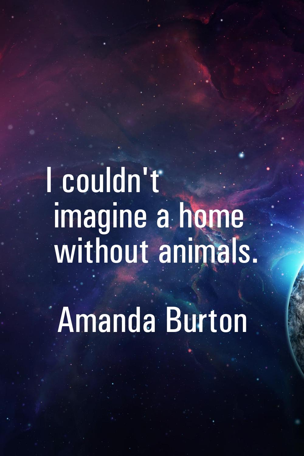 I couldn't imagine a home without animals.
