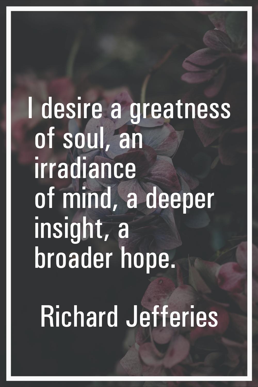 I desire a greatness of soul, an irradiance of mind, a deeper insight, a broader hope.