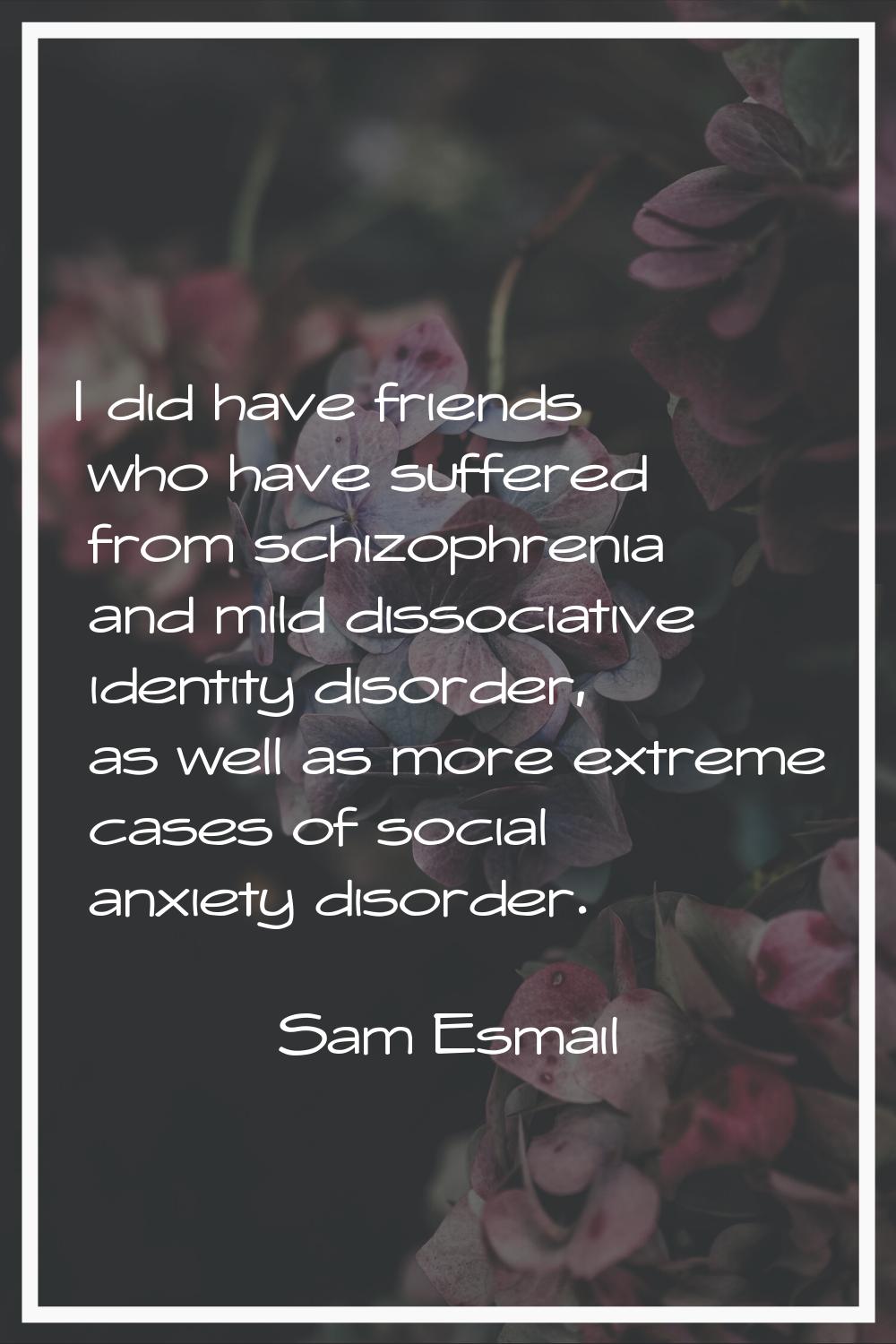 I did have friends who have suffered from schizophrenia and mild dissociative identity disorder, as