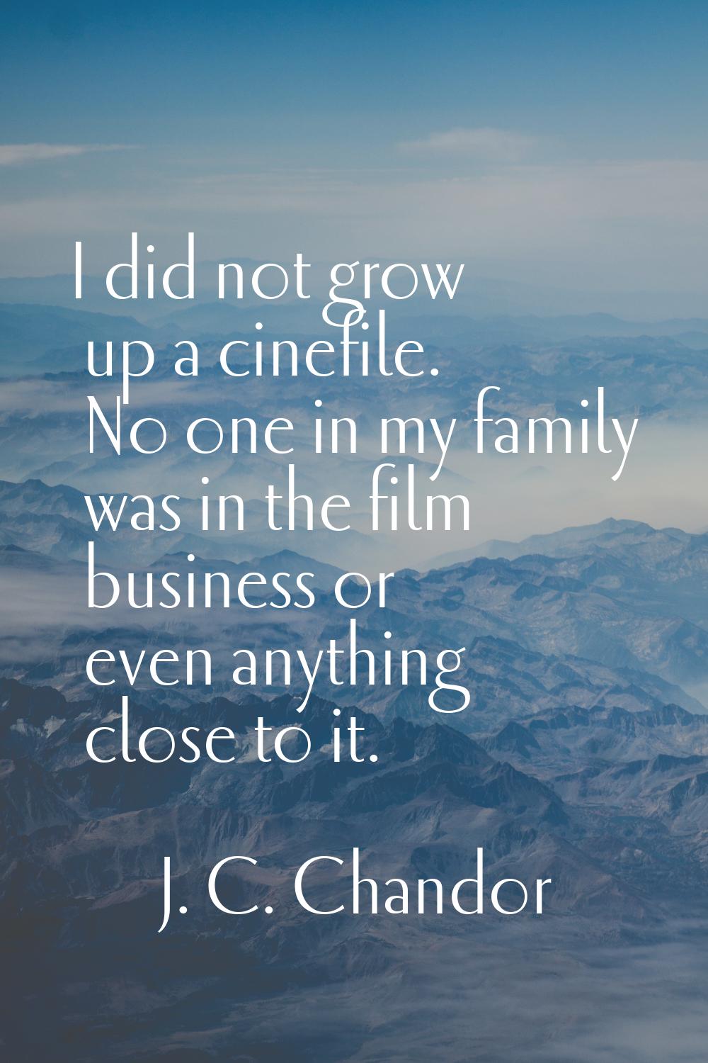 I did not grow up a cinefile. No one in my family was in the film business or even anything close t