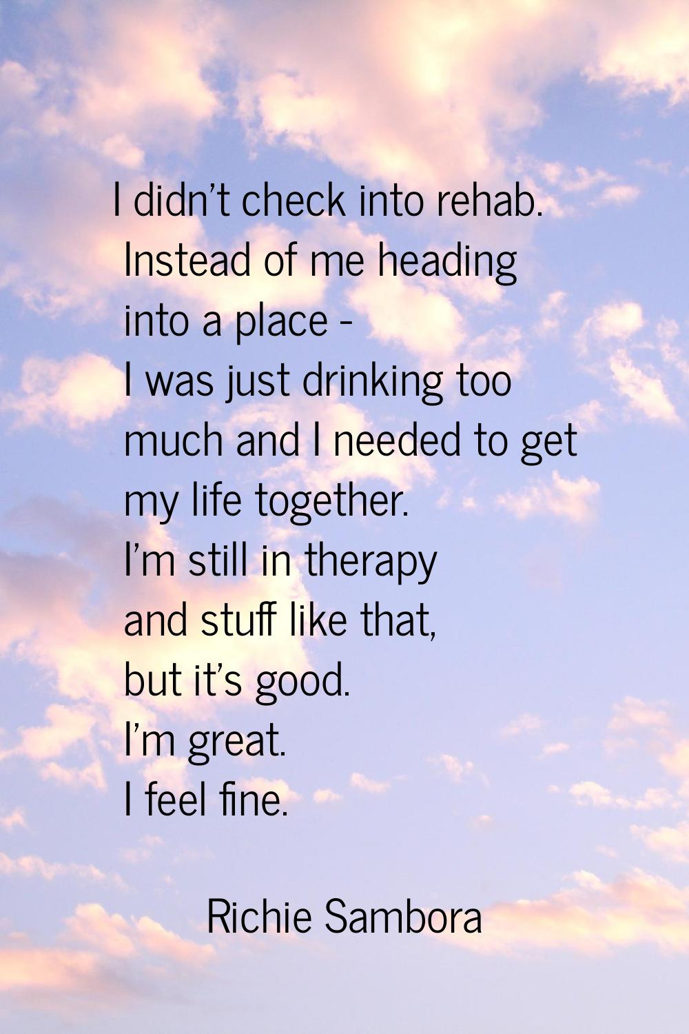 I didn't check into rehab. Instead of me heading into a place - I was just drinking too much and I 