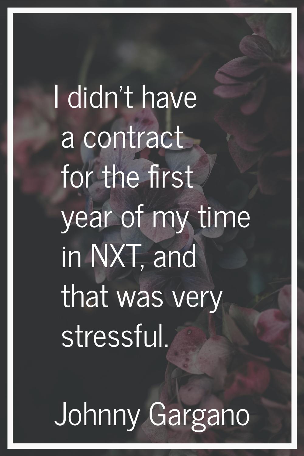 I didn't have a contract for the first year of my time in NXT, and that was very stressful.