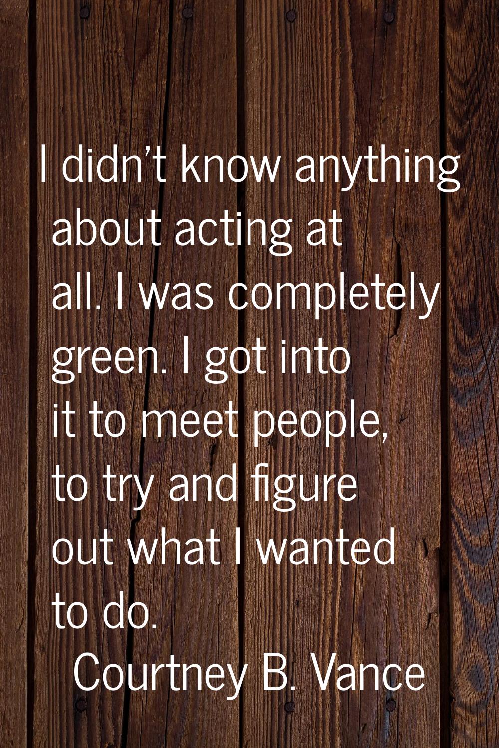 I didn't know anything about acting at all. I was completely green. I got into it to meet people, t