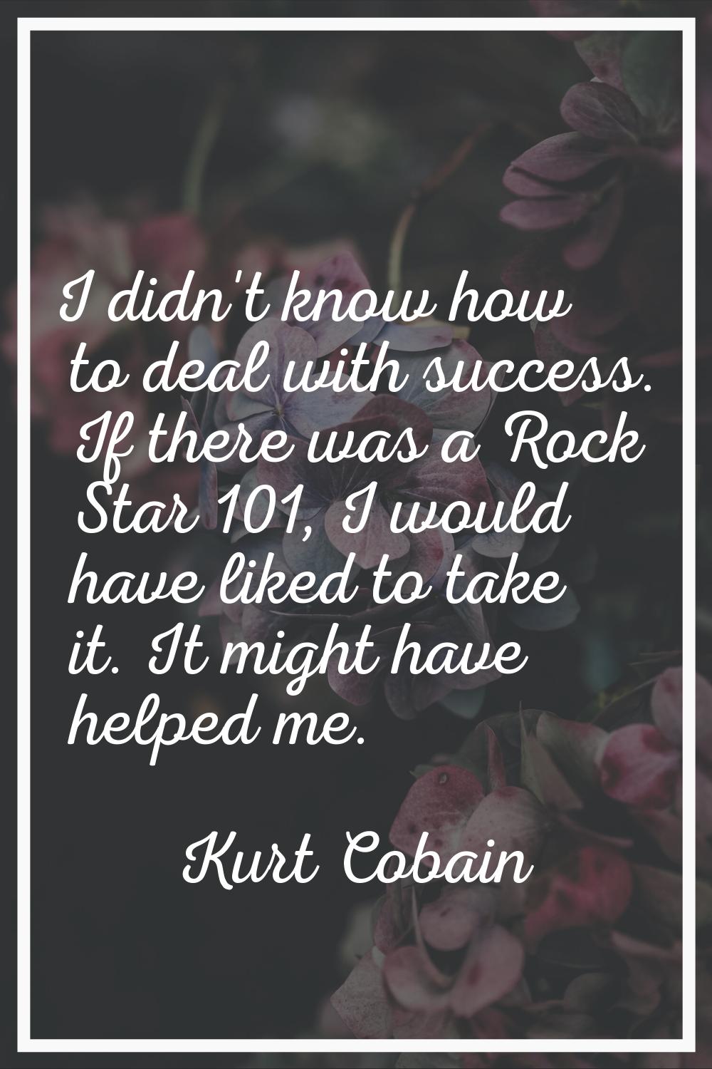 I didn't know how to deal with success. If there was a Rock Star 101, I would have liked to take it