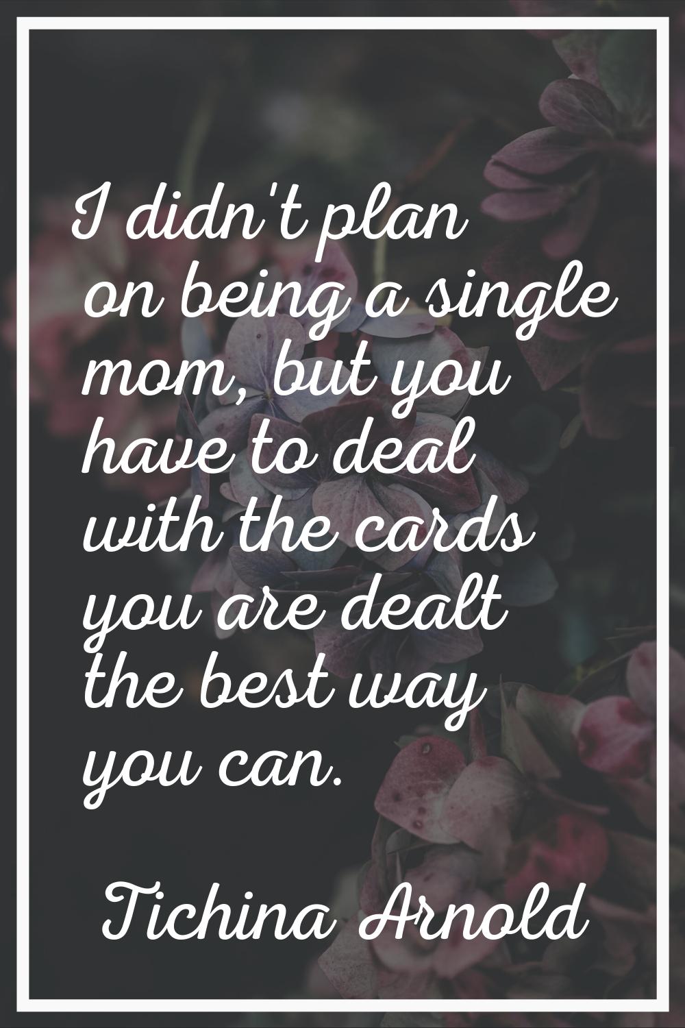 I didn't plan on being a single mom, but you have to deal with the cards you are dealt the best way