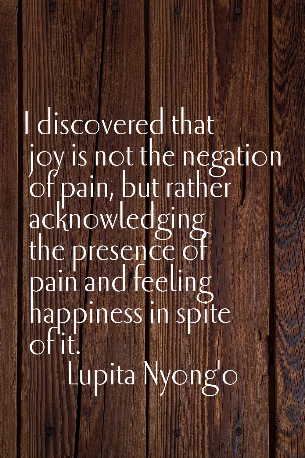 I discovered that joy is not the negation of pain, but rather acknowledging the presence of pain an