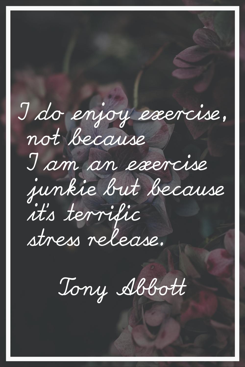 I do enjoy exercise, not because I am an exercise junkie but because it's terrific stress release.