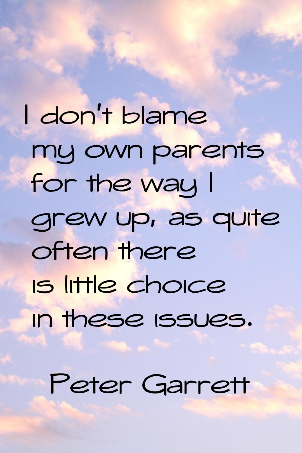 I don't blame my own parents for the way I grew up, as quite often there is little choice in these 