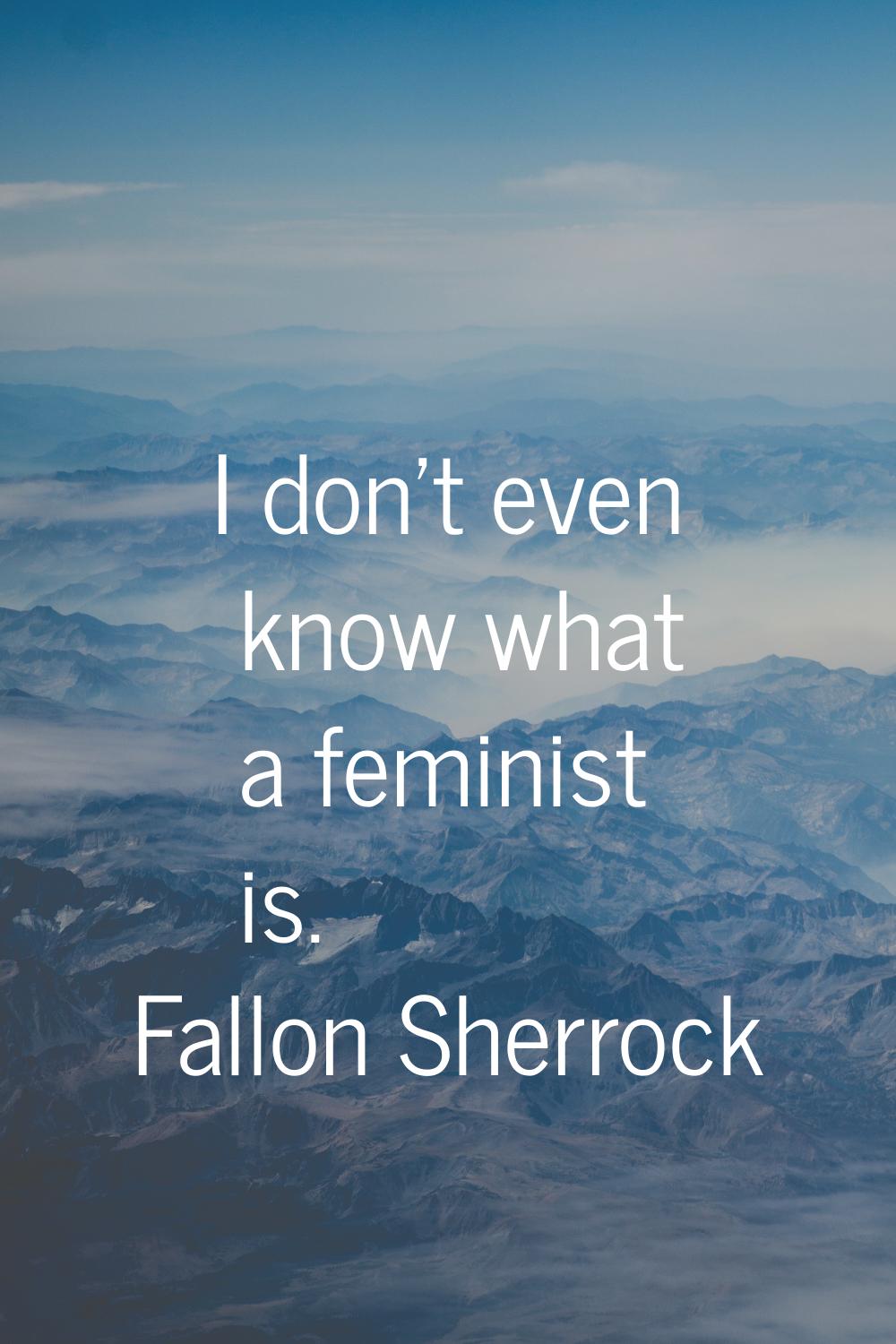 I don't even know what a feminist is.