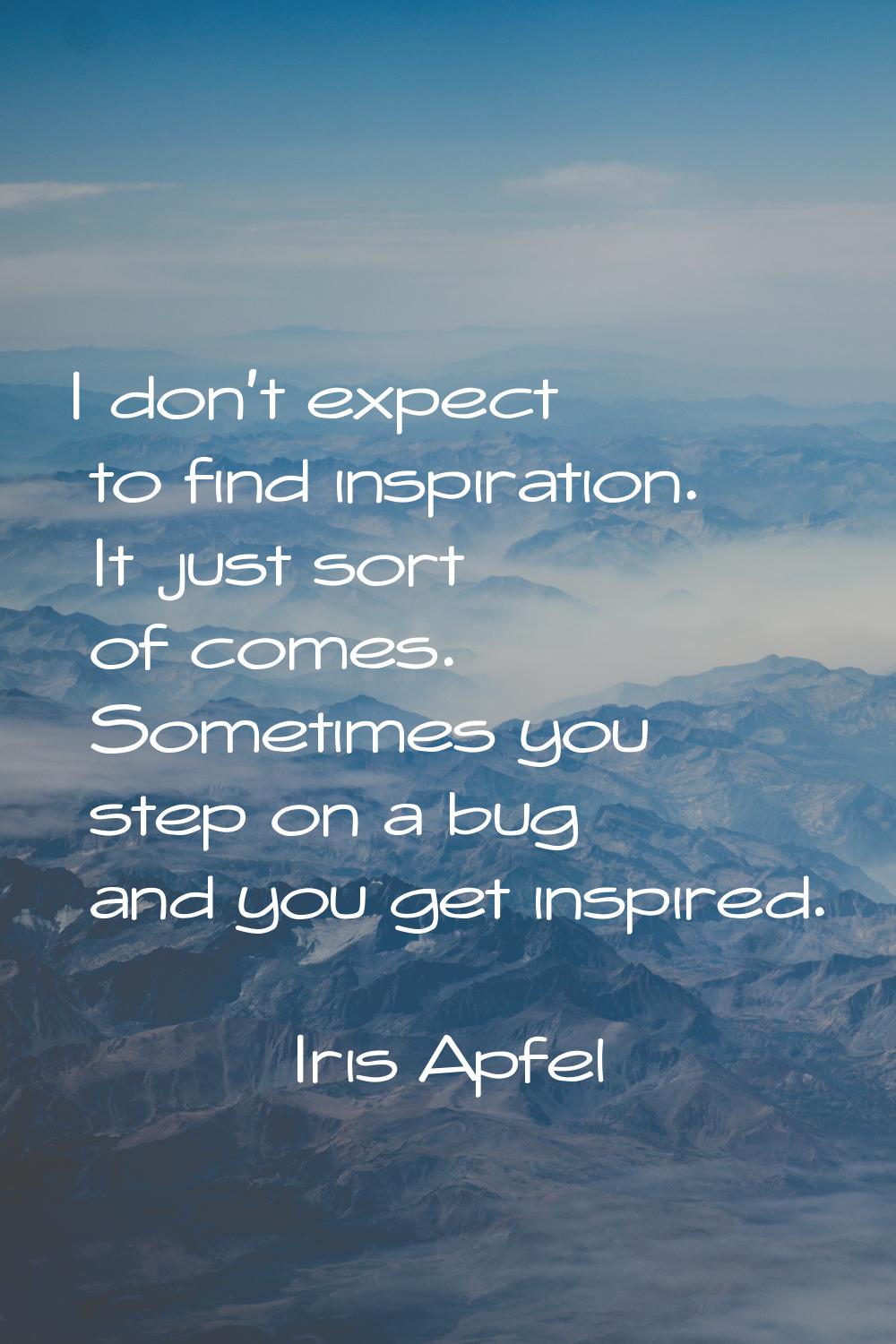 I don't expect to find inspiration. It just sort of comes. Sometimes you step on a bug and you get 