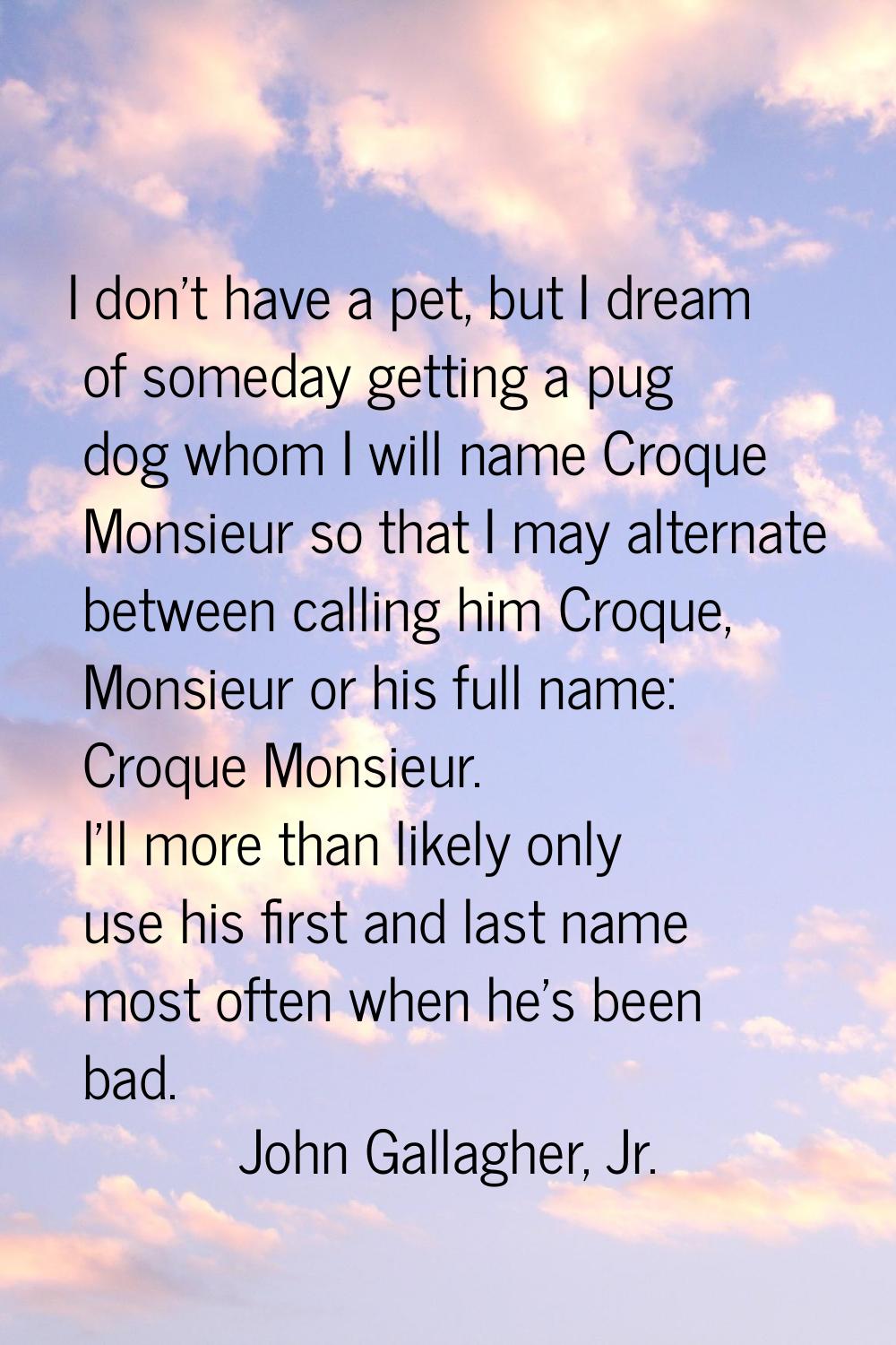 I don't have a pet, but I dream of someday getting a pug dog whom I will name Croque Monsieur so th