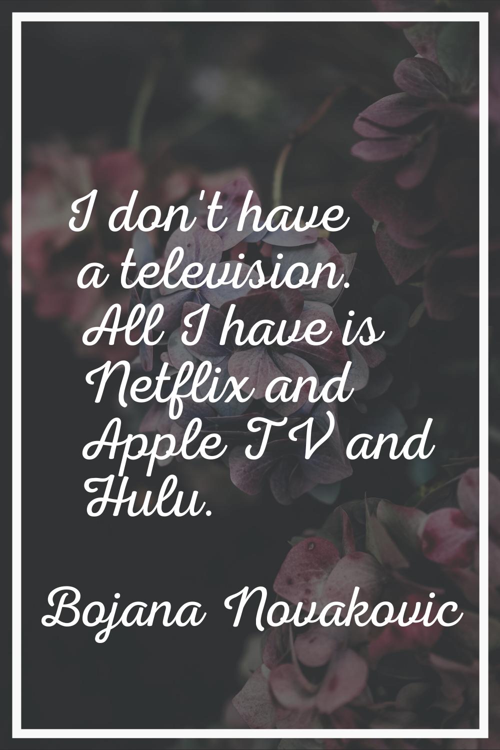I don't have a television. All I have is Netflix and Apple TV and Hulu.