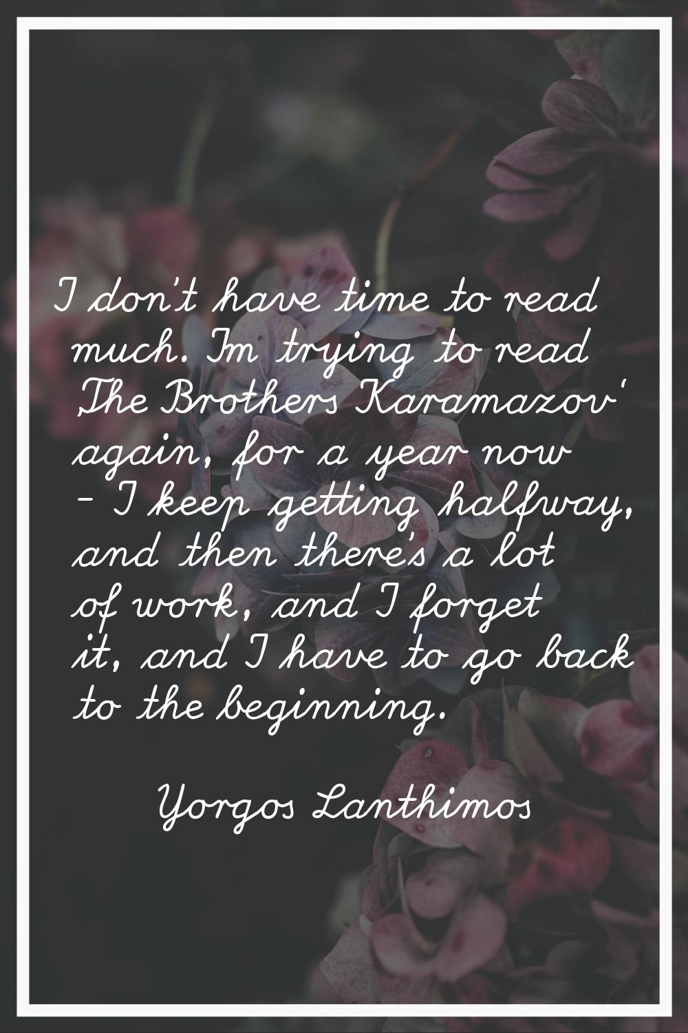 I don't have time to read much. I'm trying to read 'The Brothers Karamazov' again, for a year now -