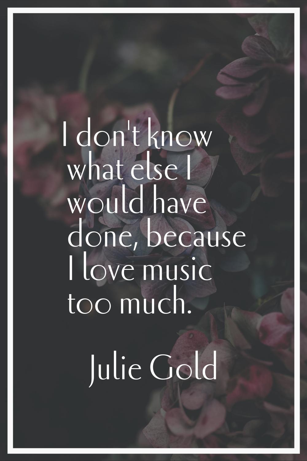 I don't know what else I would have done, because I love music too much.