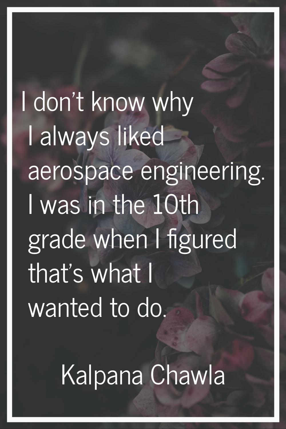 I don't know why I always liked aerospace engineering. I was in the 10th grade when I figured that'