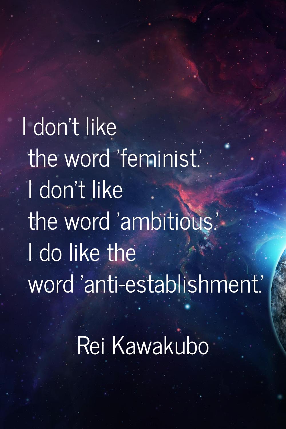 I don't like the word 'feminist.' I don't like the word 'ambitious.' I do like the word 'anti-estab