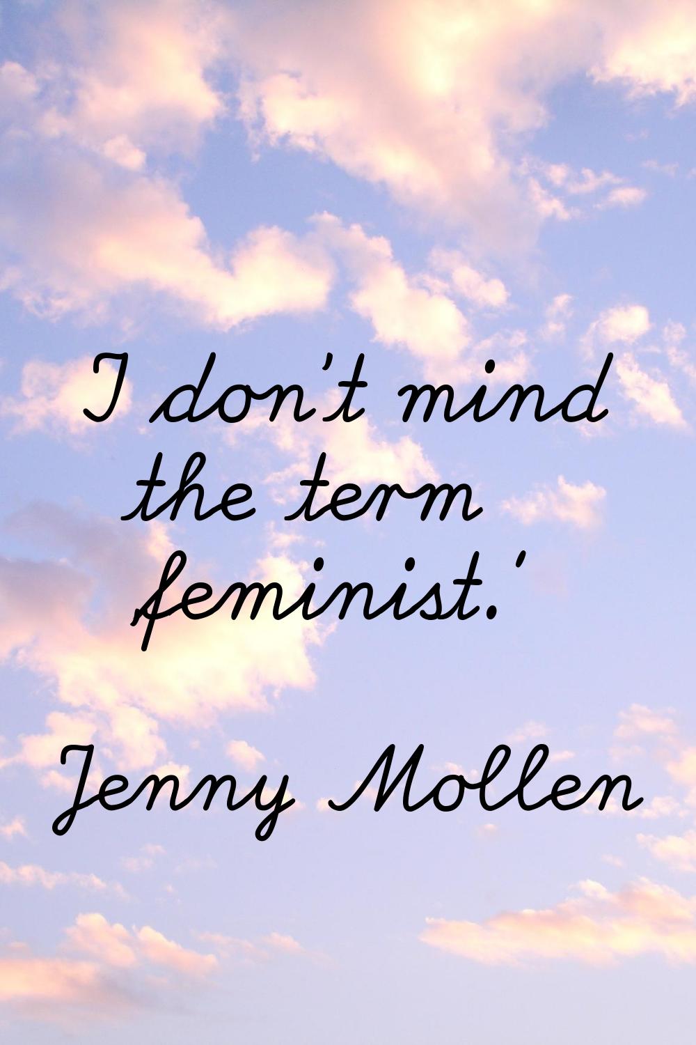 I don't mind the term 'feminist.'