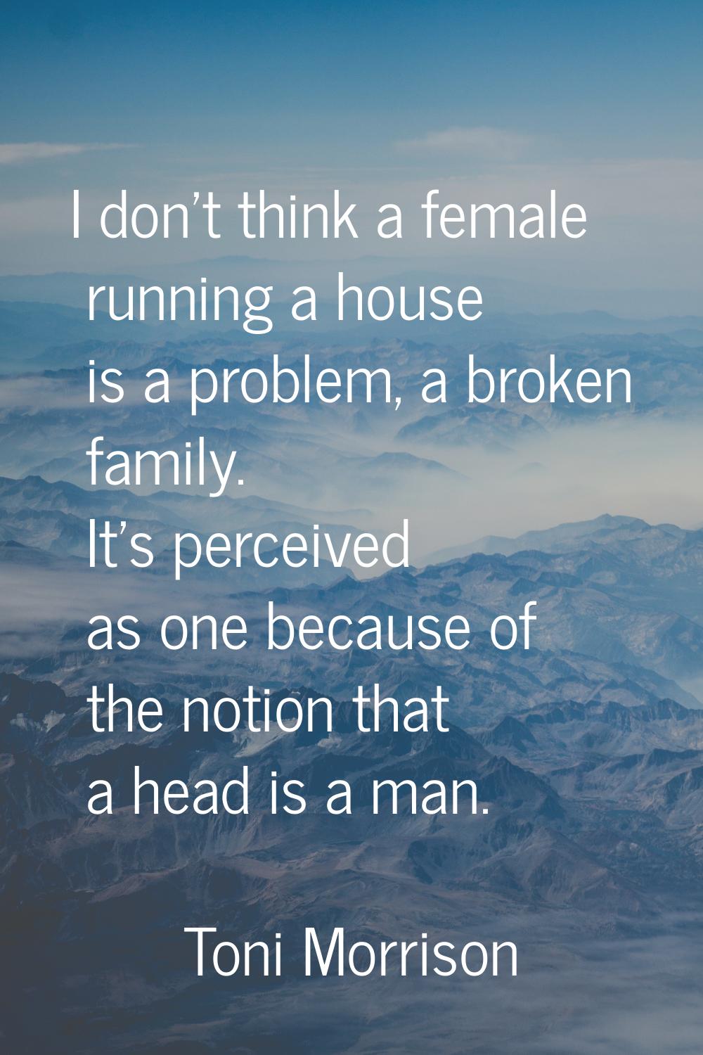 I don't think a female running a house is a problem, a broken family. It's perceived as one because