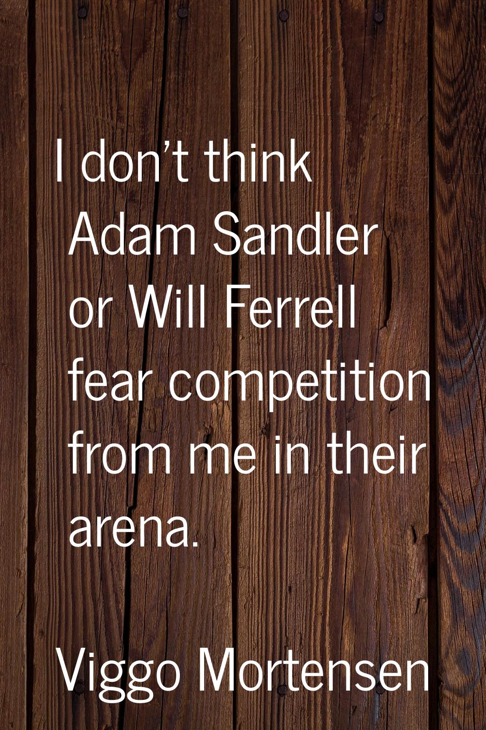 I don't think Adam Sandler or Will Ferrell fear competition from me in their arena.