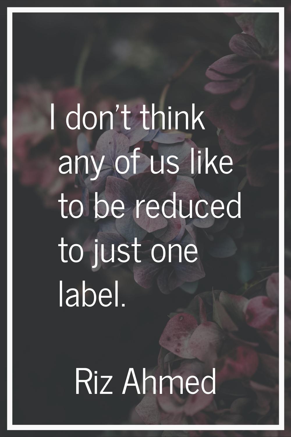 I don't think any of us like to be reduced to just one label.