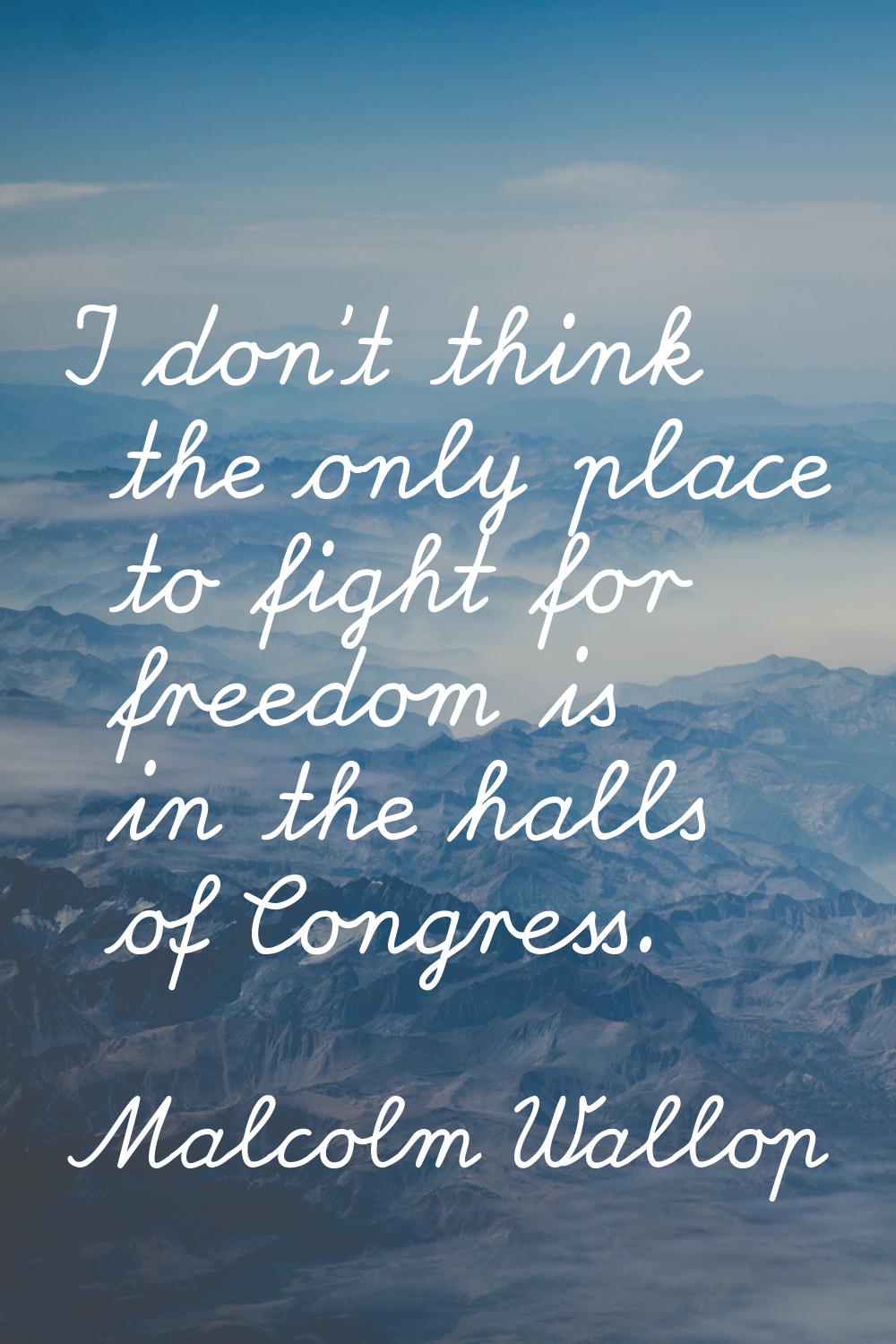 I don't think the only place to fight for freedom is in the halls of Congress.