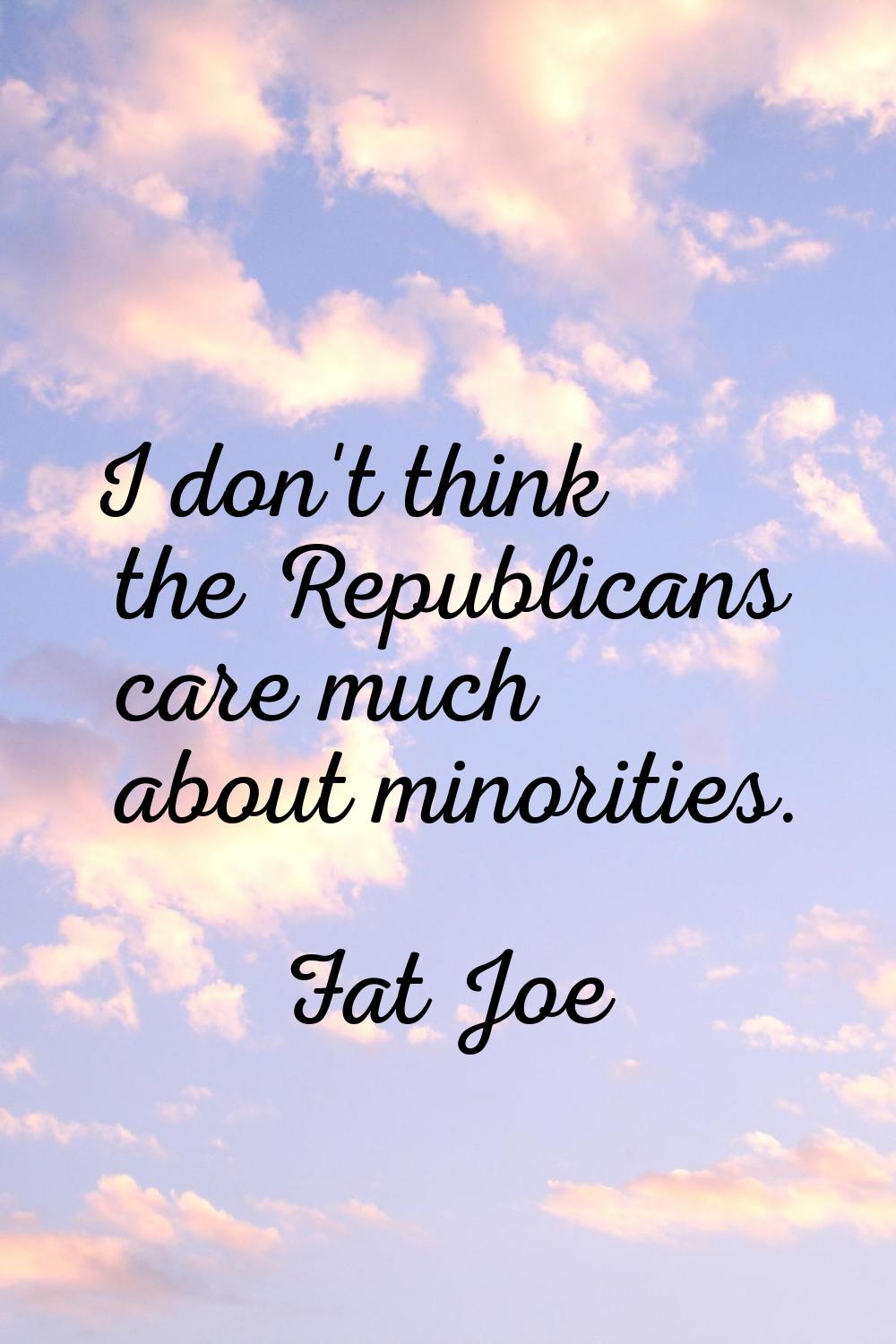I don't think the Republicans care much about minorities.