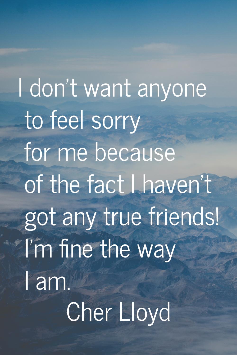 I don't want anyone to feel sorry for me because of the fact I haven't got any true friends! I'm fi