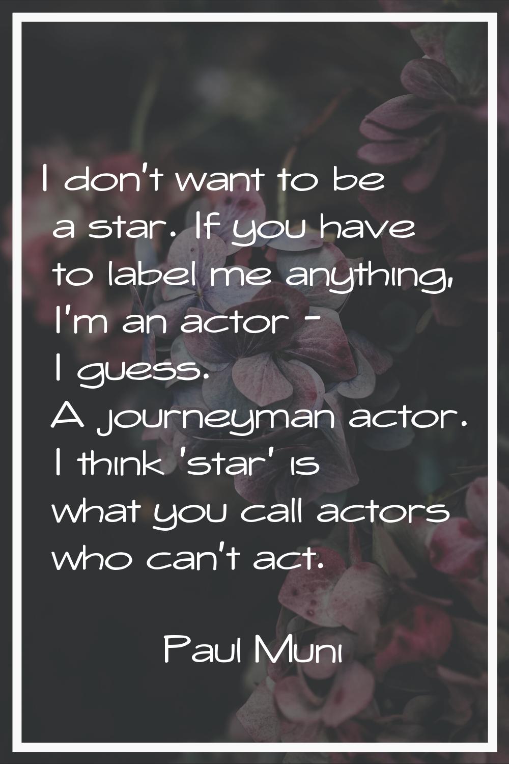 I don't want to be a star. If you have to label me anything, I'm an actor - I guess. A journeyman a