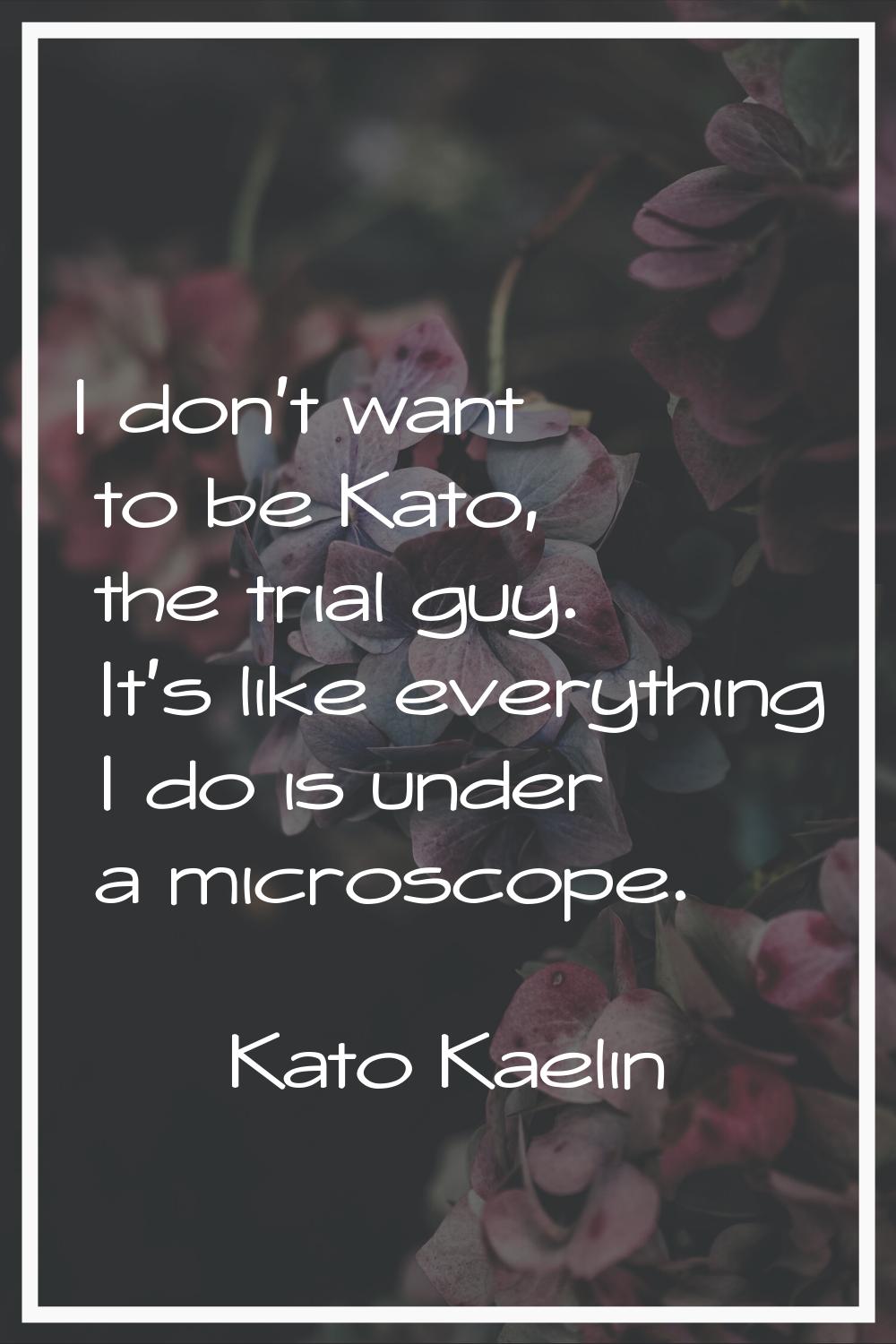 I don't want to be Kato, the trial guy. It's like everything I do is under a microscope.