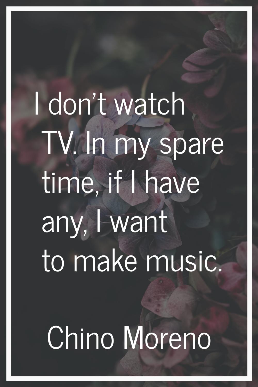 I don't watch TV. In my spare time, if I have any, I want to make music.