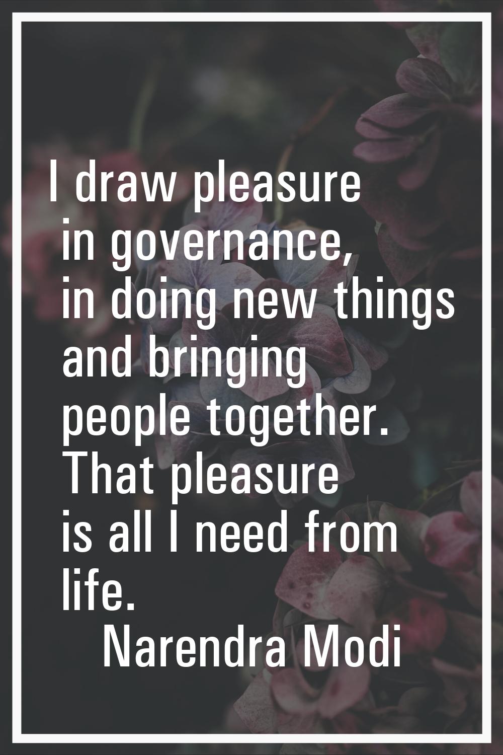 I draw pleasure in governance, in doing new things and bringing people together. That pleasure is a