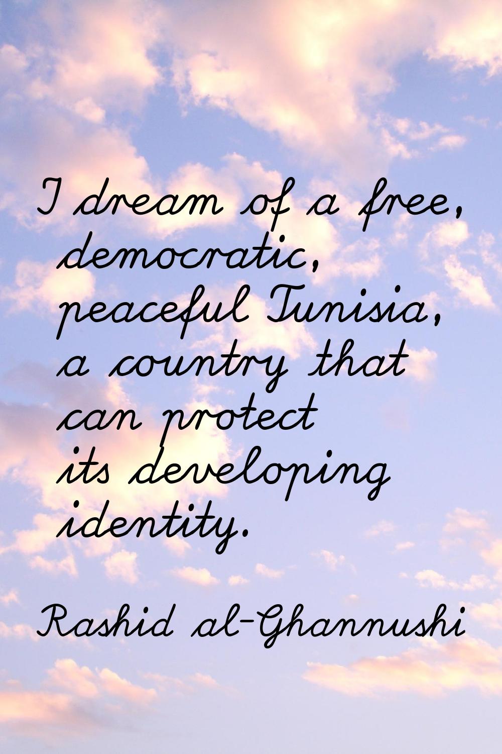 I dream of a free, democratic, peaceful Tunisia, a country that can protect its developing identity