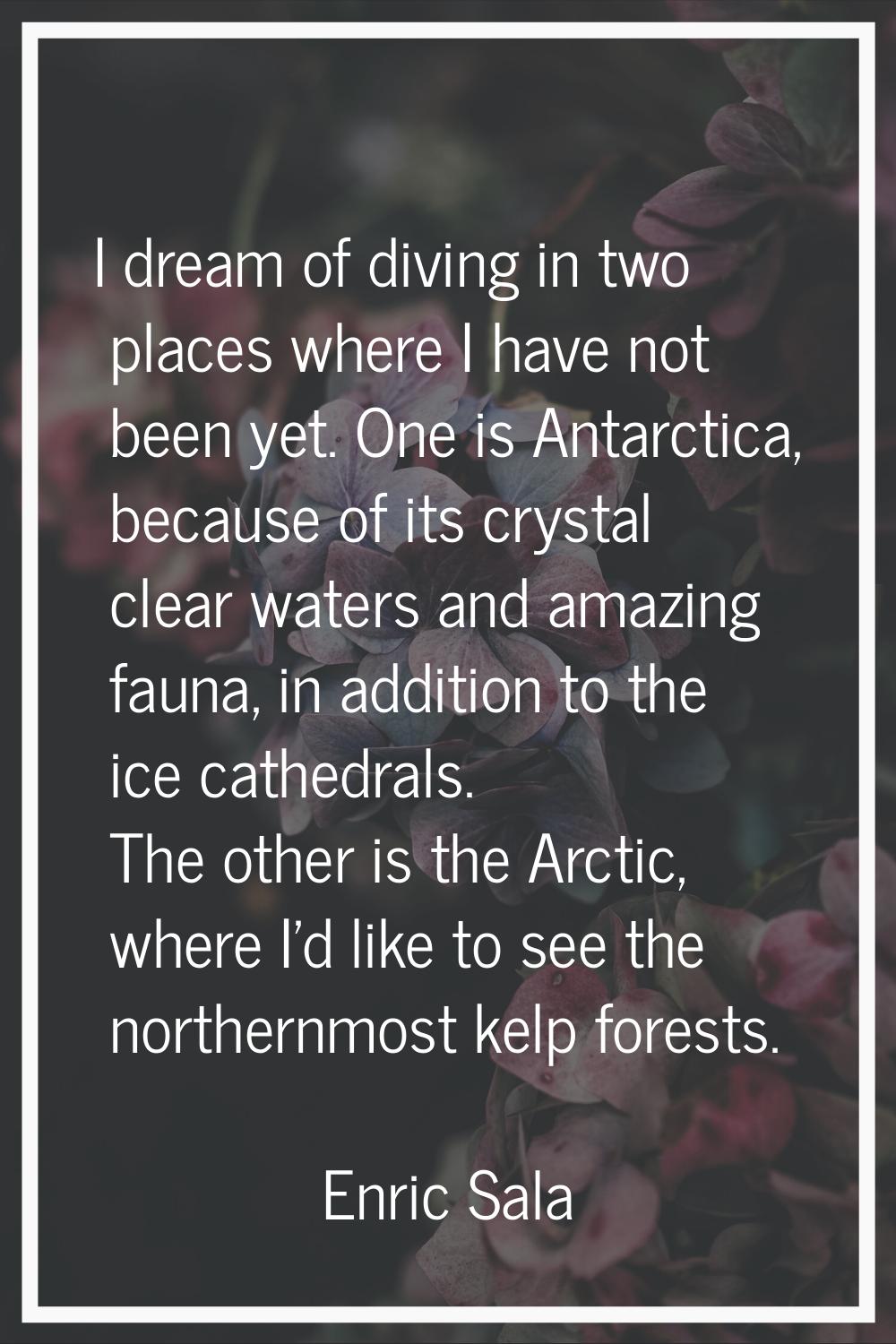 I dream of diving in two places where I have not been yet. One is Antarctica, because of its crysta