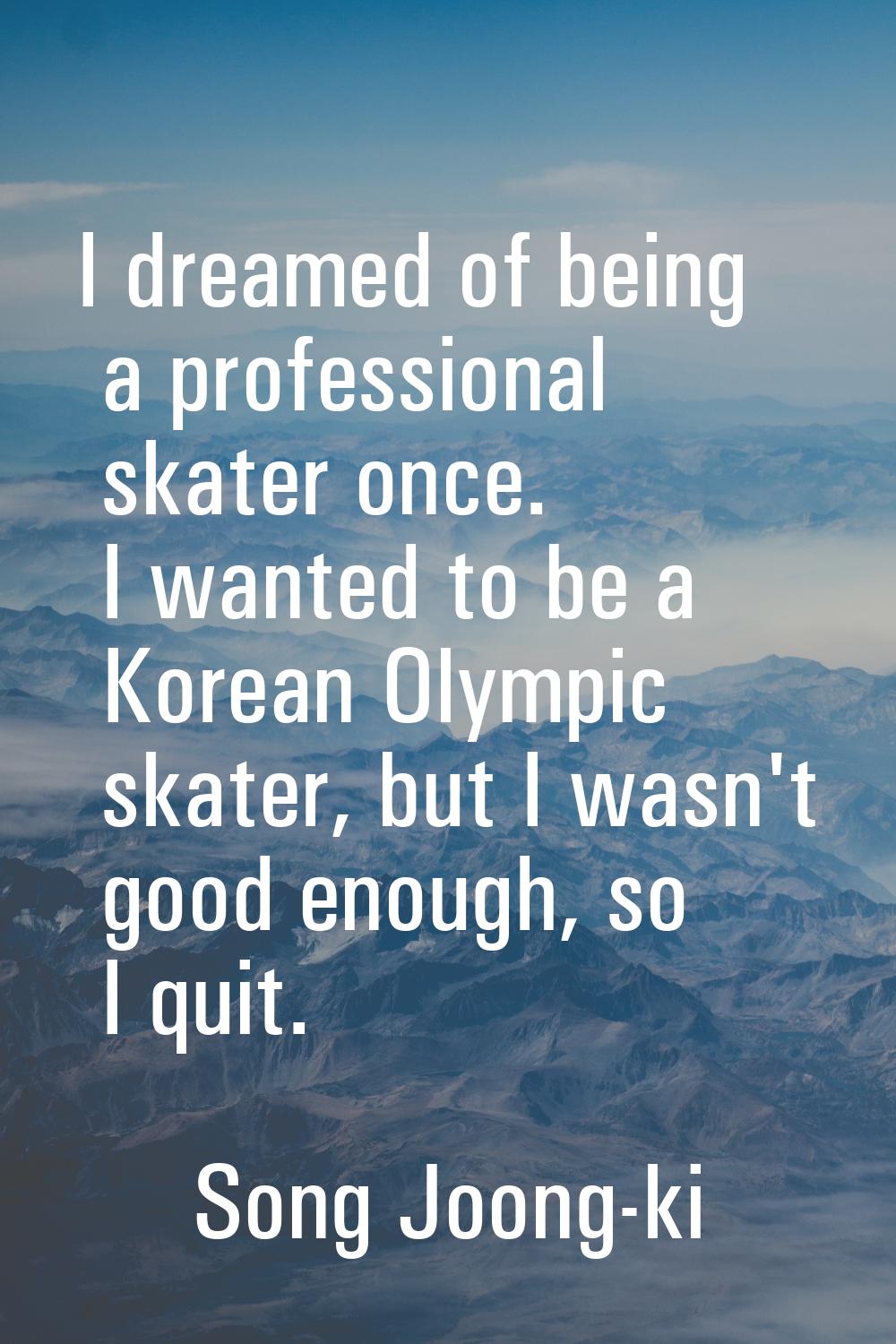 I dreamed of being a professional skater once. I wanted to be a Korean Olympic skater, but I wasn't