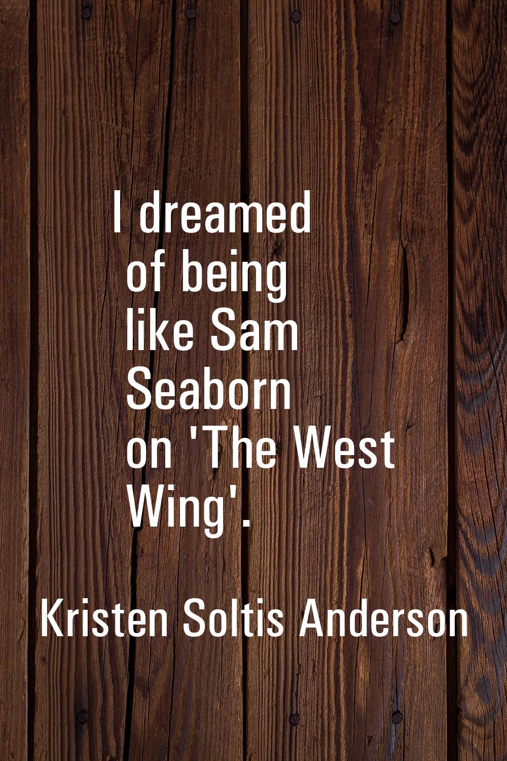 I dreamed of being like Sam Seaborn on 'The West Wing'.