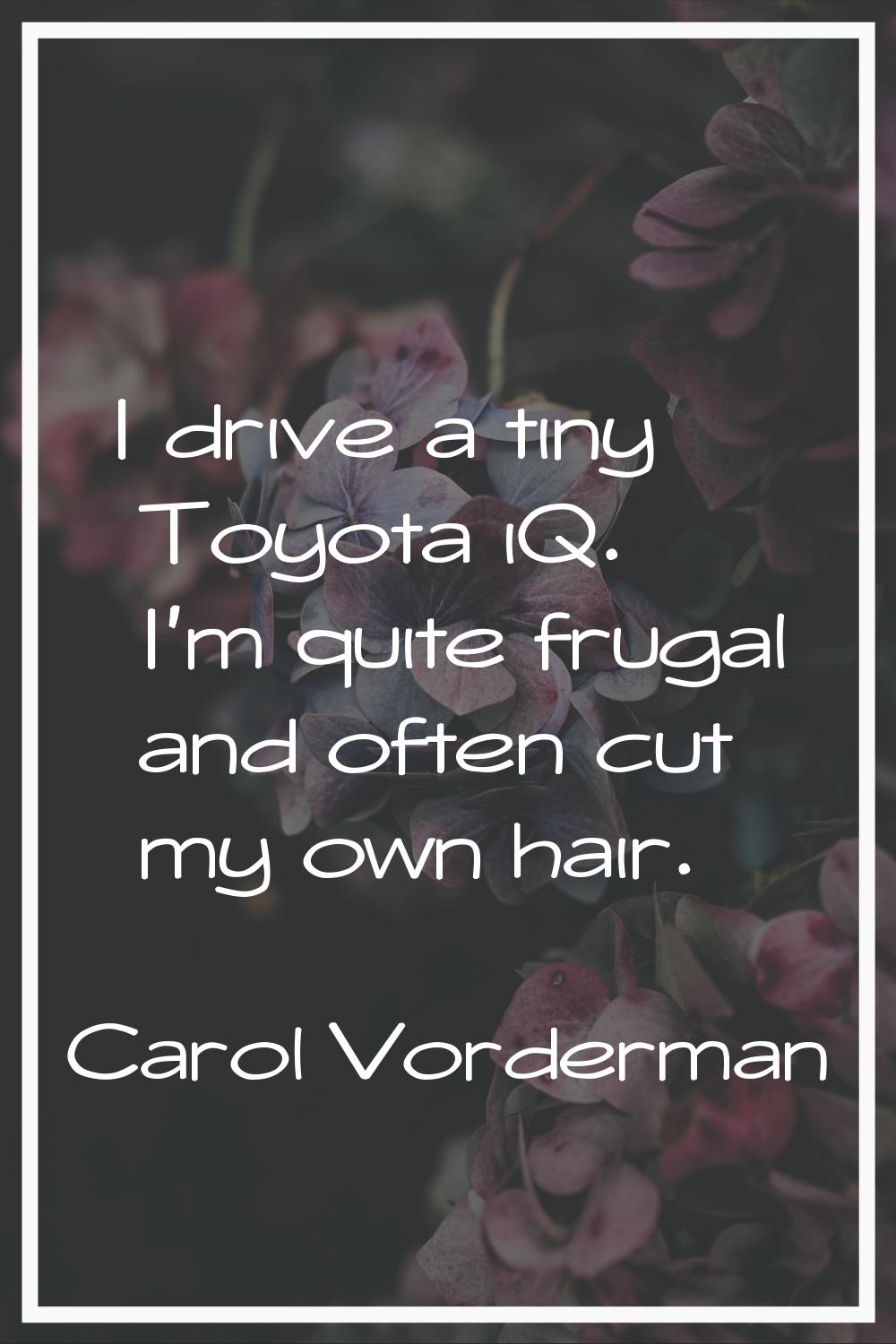 I drive a tiny Toyota iQ. I'm quite frugal and often cut my own hair.