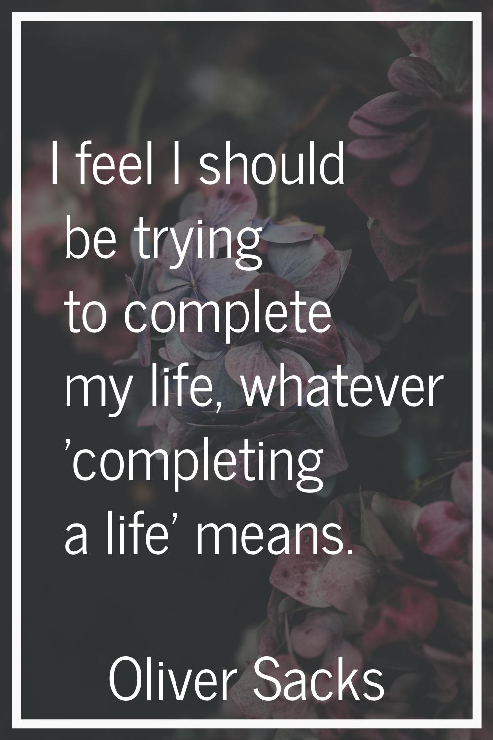 I feel I should be trying to complete my life, whatever 'completing a life' means.