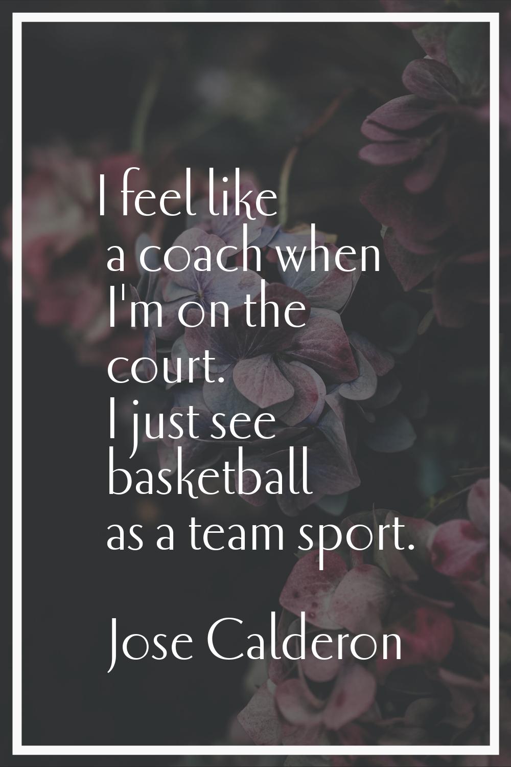 I feel like a coach when I'm on the court. I just see basketball as a team sport.