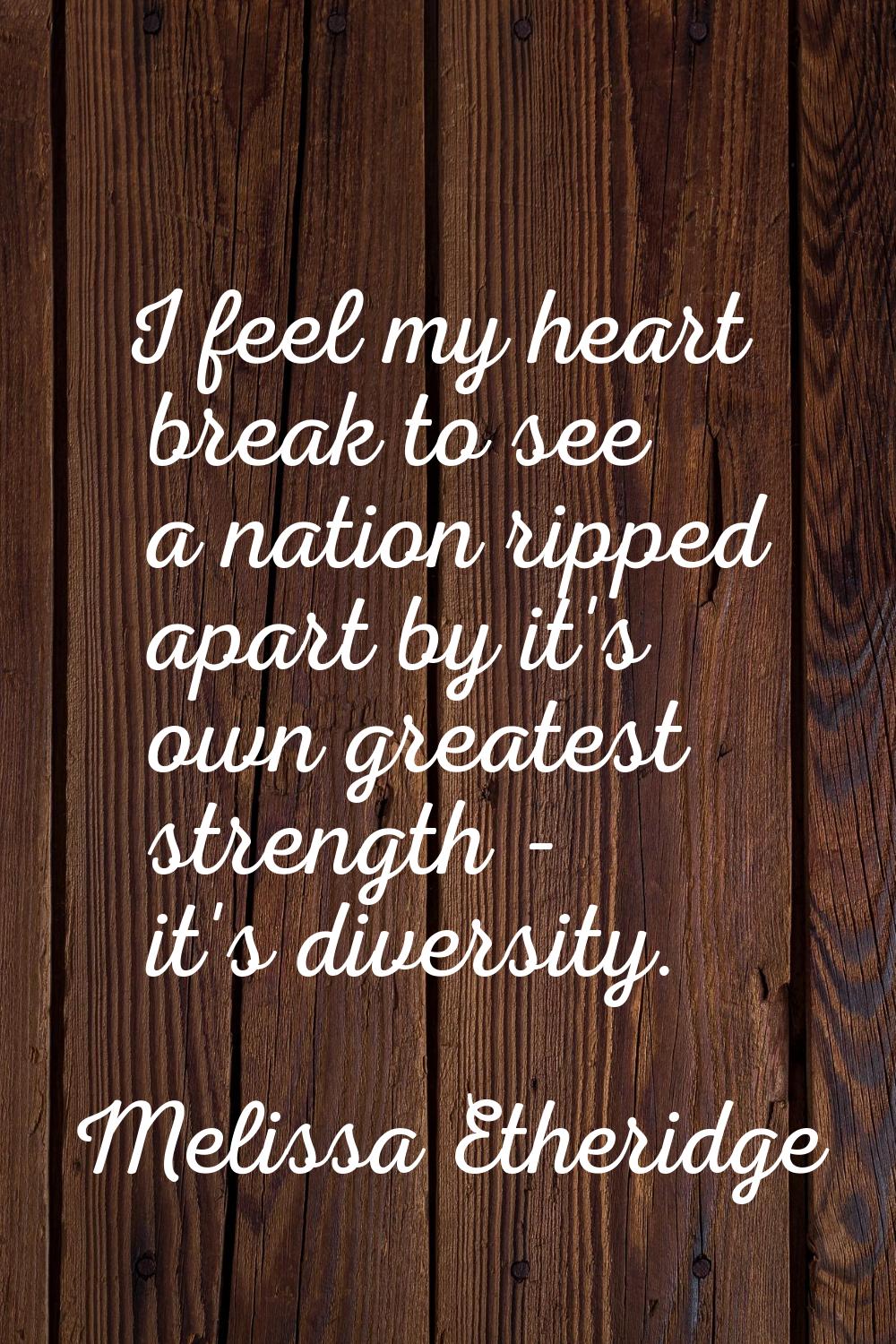 I feel my heart break to see a nation ripped apart by it's own greatest strength - it's diversity.