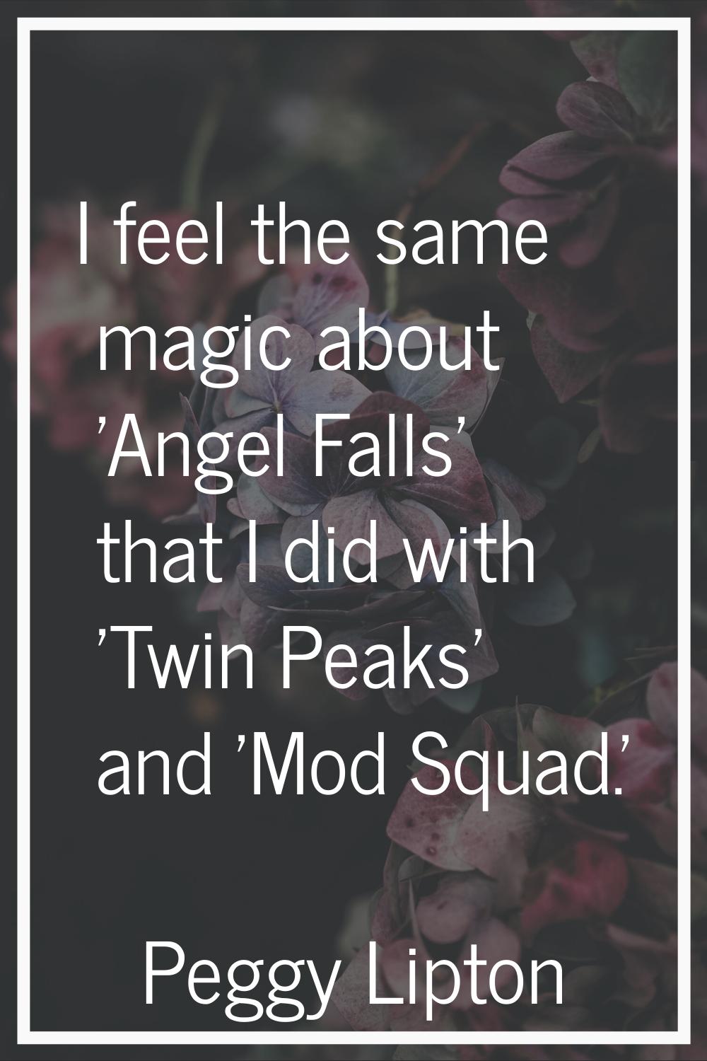 I feel the same magic about 'Angel Falls' that I did with 'Twin Peaks' and 'Mod Squad.'
