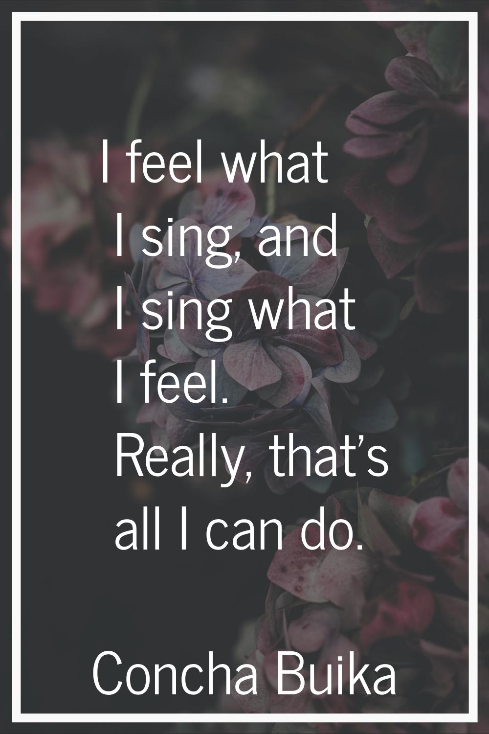 I feel what I sing, and I sing what I feel. Really, that's all I can do.