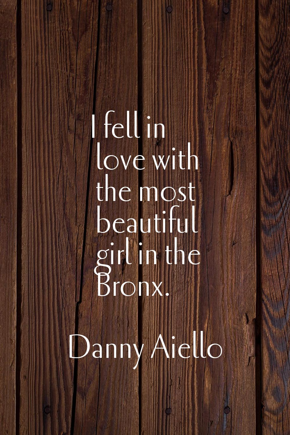 I fell in love with the most beautiful girl in the Bronx.