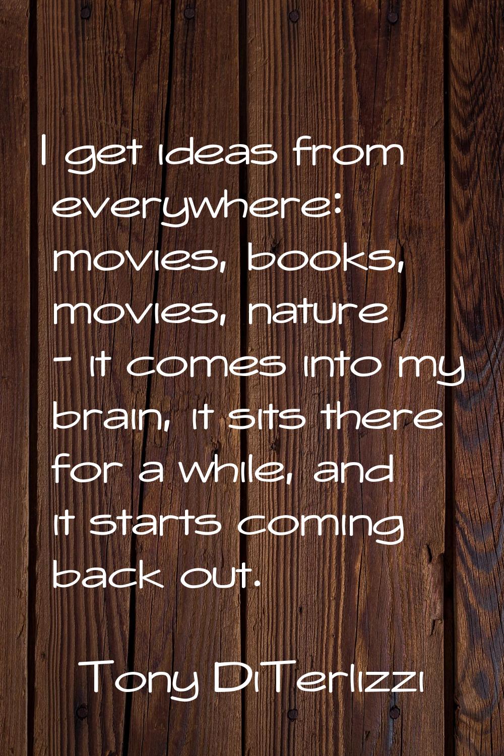 I get ideas from everywhere: movies, books, movies, nature - it comes into my brain, it sits there 