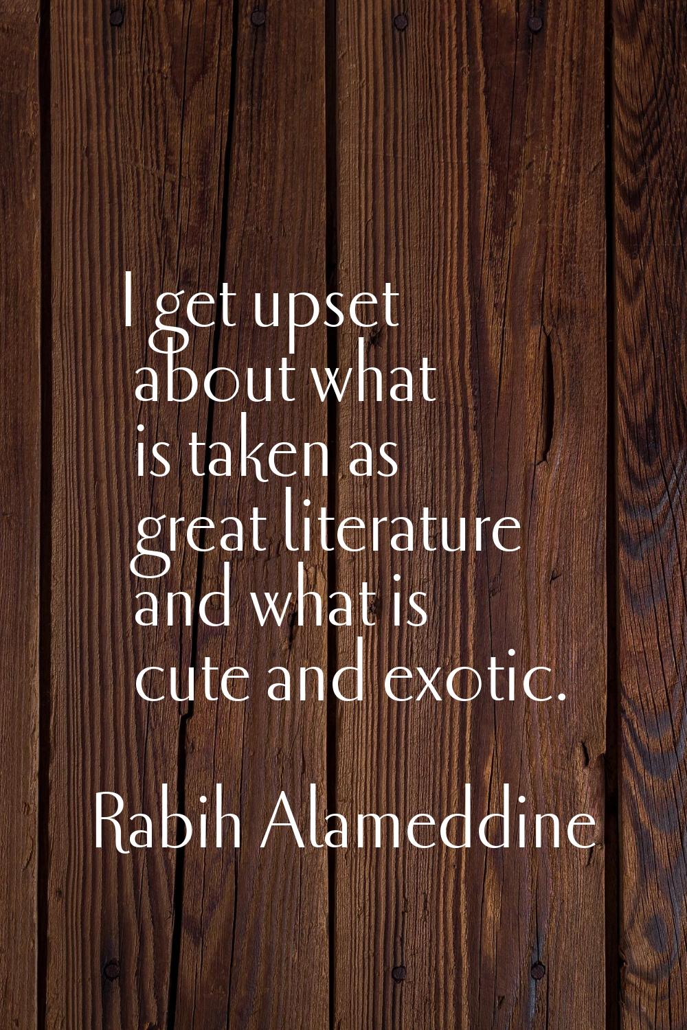 I get upset about what is taken as great literature and what is cute and exotic.