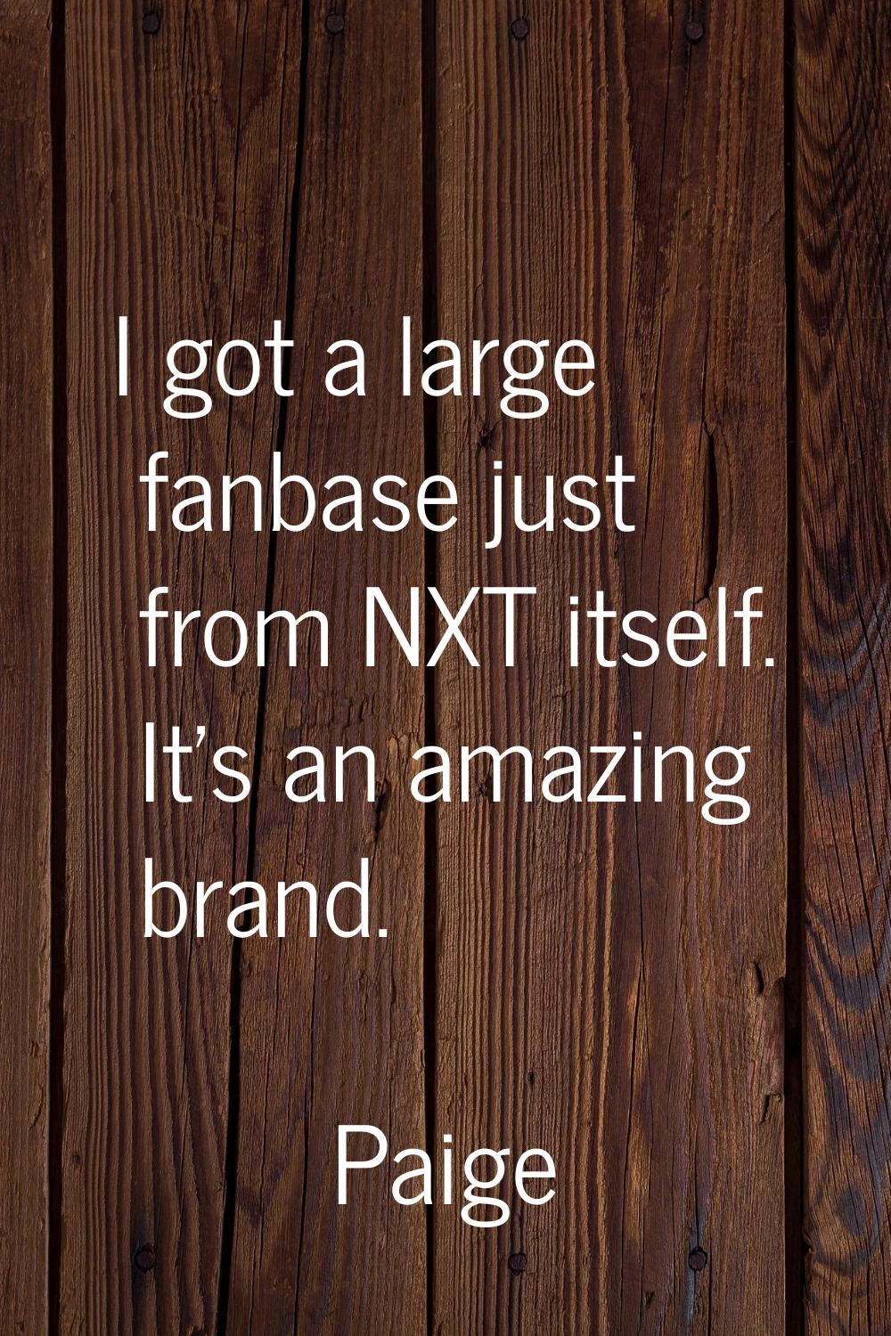 I got a large fanbase just from NXT itself. It's an amazing brand.