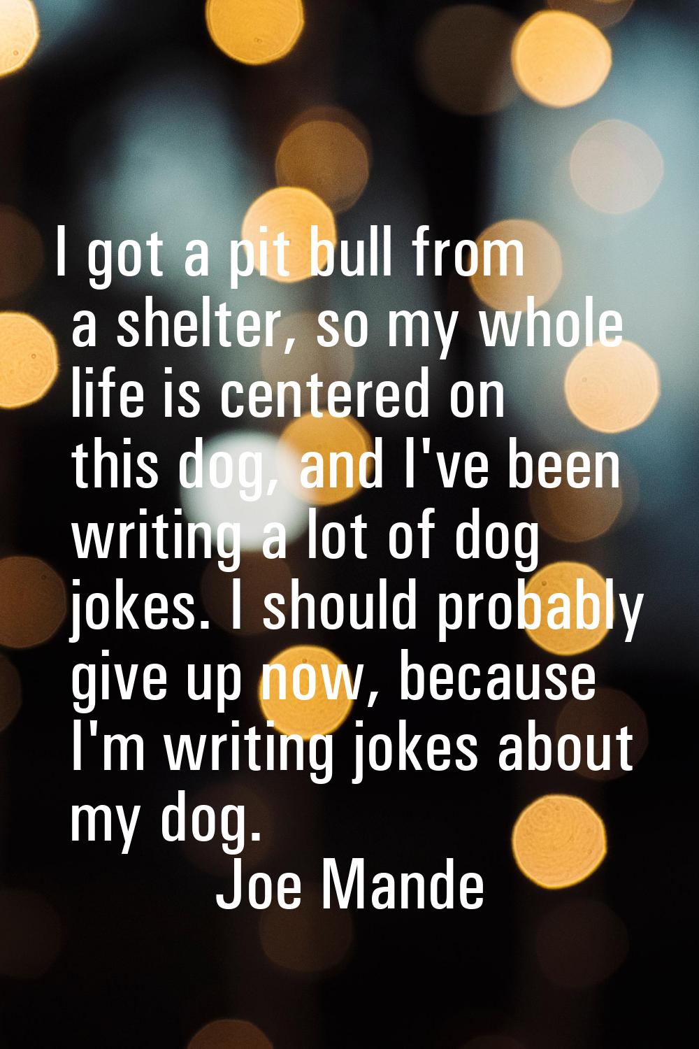 I got a pit bull from a shelter, so my whole life is centered on this dog, and I've been writing a 