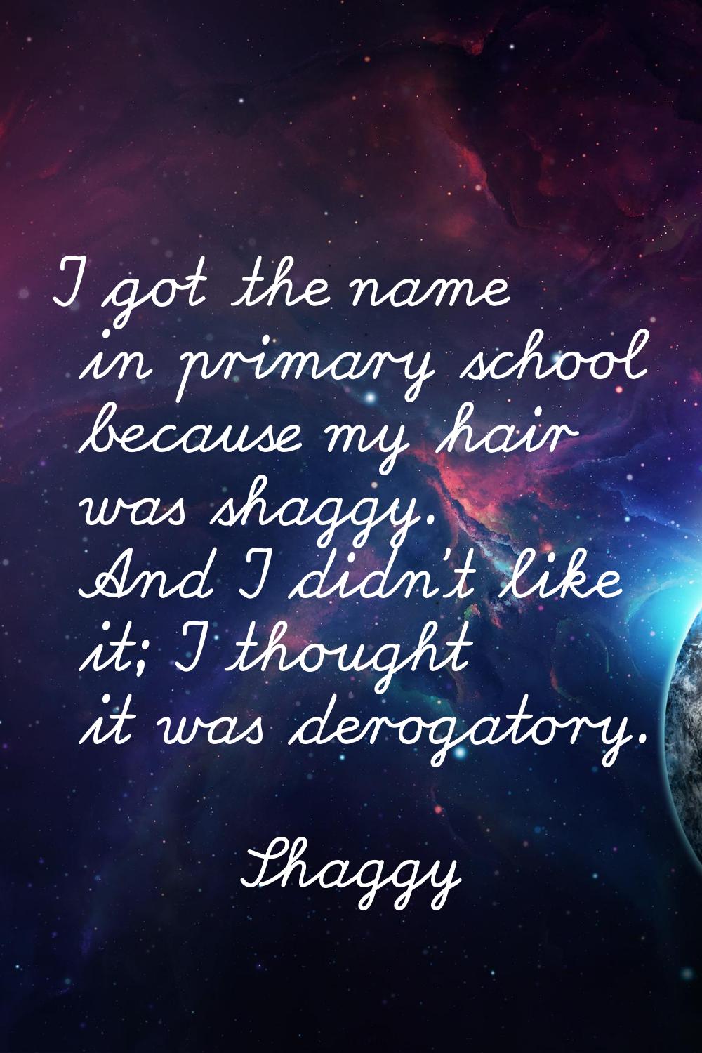 I got the name in primary school because my hair was shaggy. And I didn't like it; I thought it was