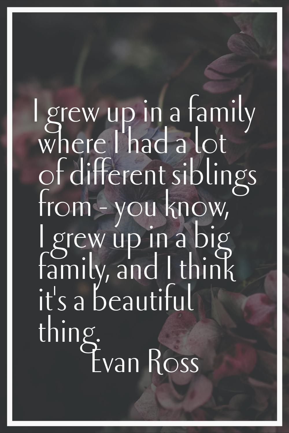 I grew up in a family where I had a lot of different siblings from - you know, I grew up in a big f