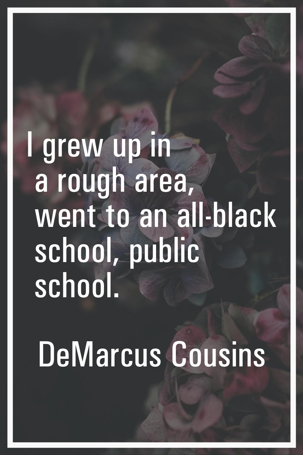 I grew up in a rough area, went to an all-black school, public school.